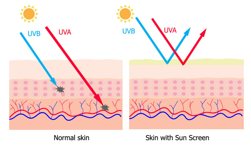 紫外線UVAとUVB