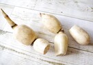 花粉症対策に効果あり！？花粉症とレンコンの効能