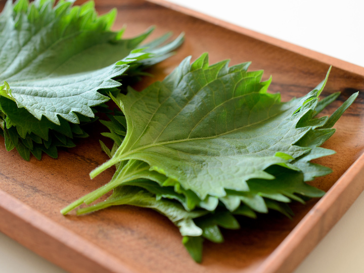 日本のスーパーフード「青じそ」の種類、「大葉」と「青じそ」の違いは？ YOKARE