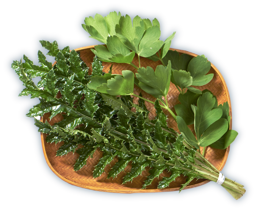 長寿の南国で恵みの植物 シマアザミと長命草 Yokare 長寿の南国で恵みの植物 シマアザミと長命草 Yokare