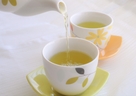 カテキンを取り入れ免疫力アップ！緑茶レシピで冬の体調を整える