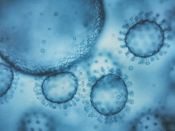 冬はノロウイルスにご注意を！ YOKARE