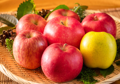 りんごの収穫期と色で分類すると分かりやすい？！りんごの品種