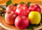 りんごの収穫期と色で分類すると分かりやすい？！りんごの品種