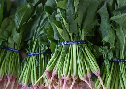 現役ファーマーが教える野菜の選び方（ほうれん草編）