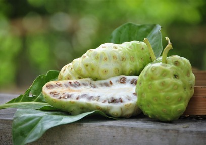 乾燥対策で悩む大人肌をノニが救う!ノニを使ったコスメ4選