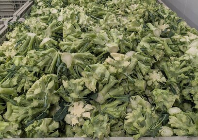 「ブロッコリーの茎」を使った「じゃないほうのブロッコリーレストラン」が期間限定でオープン  